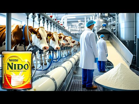 كيف ي صنع الحليب المجفف في المصنع طريقة إنتاج الحليب المجفف