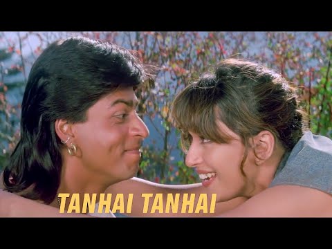 Tanhai Tanhai Dono Ko Paas Le Aayee Madhuri Dixit Shahrukh Khan Koyla Movie Song