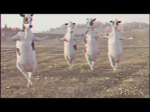 يحليله دن حجيله نسخه البقر