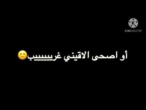 على بعضي عفروتو و مروان موسى