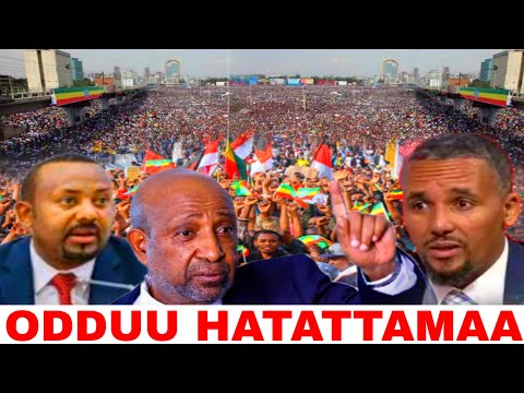 ODDUU HATATTAMA JEQUMSAA AKKA DHABUU JAWA GAFACHA JIRANI PPN MALII HALA YARO IRRATI 26 November 2025