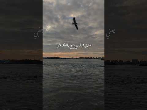 يعني إيه كل أما أروح مكان أشوفك جنبي خالد الصيفي تامر حسني عينيا بتحبك رومانسي حزين