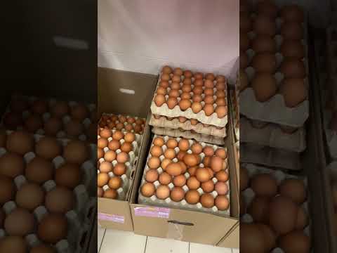 Харьков Цена на яйца Магазин АТБ Shorts