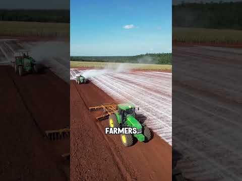 Ausbringen Von Branntkalk Auf Feldern Zur Steigerung Des Ernteertrags