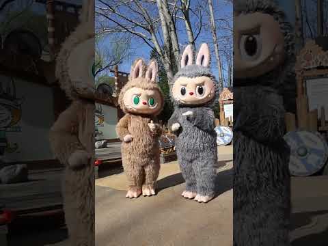 لابوبو يرقص كيف صارت اكسبلور Cute يع لابوبو Cartoon كرتوناطفال ترند Funny اكسبلور Foryou