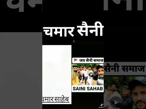 Saini Chamar द न सम ज न द ख य अपन प वर Saini Status Shorts Youtubeshorts Tiktok Video