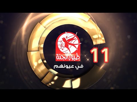 طيور الجنة في عيونهم 11
