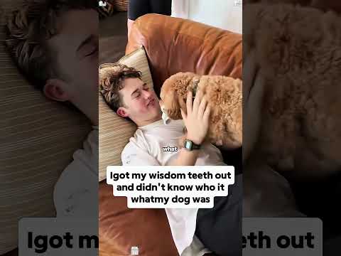 Best Post Anesthesia Reaction Ever Funny Prank Anesthesia Hospital Usa