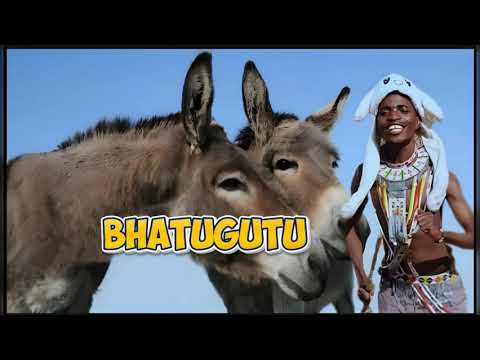 BHATUGUTU NATUMILWE Pr By MADULU STDIO