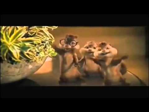 Alvin And Chipmunks Why This Kolaveri Di