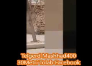 دعوا مشهد تلگرد١٣٩٥ پیچ تلگرد Mashhadiran مشهد تلگرد گلشهر