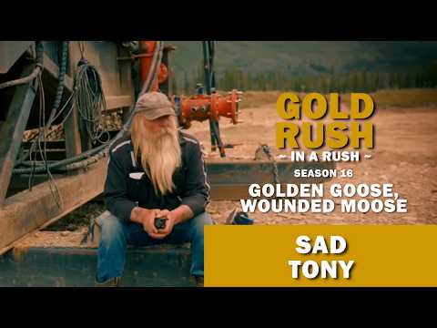 Gold Rush In A Rush Recap Season 16 Episode 18 Golden Goose Wounded Moose