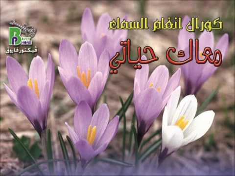 سألوذ بحضنك انغام السماء البوم معاك حياتى Salozo Be7odneka سألوذ بحضنك انغام السماء البوم معاك حياتى Salozo Be7odneka