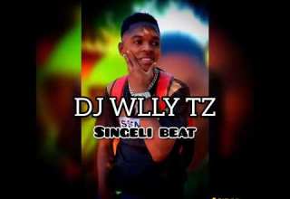 Dj Willy Tz Singeli Beat Official Audio 