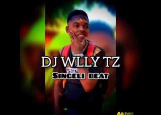 Dj Willy Tz Singeli Beat Official Audio