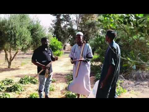 Abdul G Boy Labari Na Officiel Vidéo