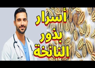  النانخة البذور الصغيرة التي تشفي كل شيء تعرف على فوائدها المذهلة للجسم والصحة