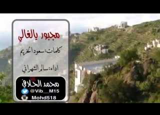  شيلة مجبور يالغالي اداء سالم الشهراني