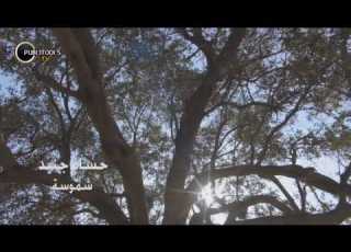 فيديو كليب الشموسة حسام جنيد بدقة HD