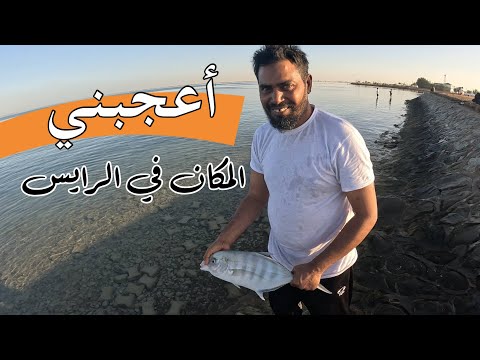 صيد السمك في الرايس مع الجق والروبيان لحظات مليئة بالإثارة