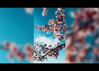 DEAN FUJIOKA Sakura Lyric Video