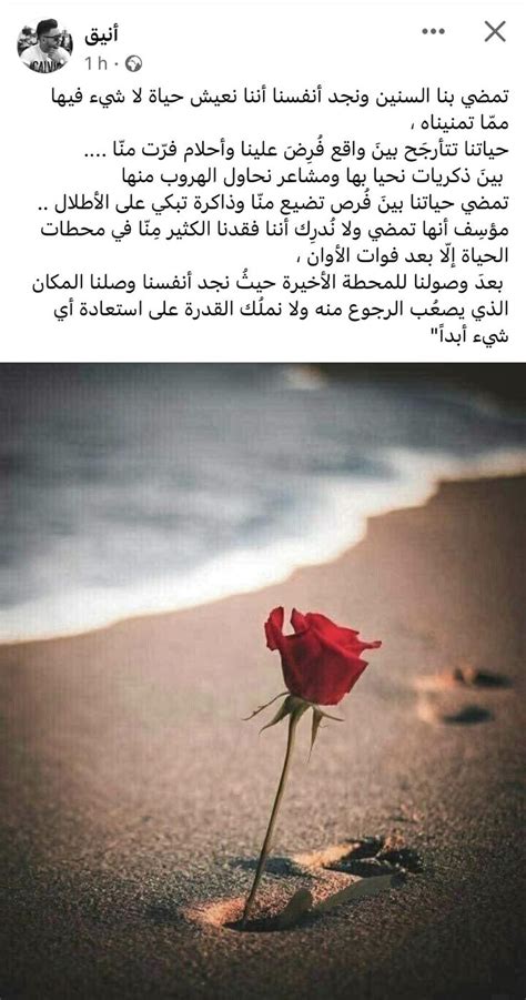 أتمنى وآمل أن تقترب من عاطفتها ولا نعتقد أن لديك عذرًا