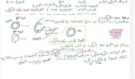 أجب عن السؤال، أي مما يلي عبارة عن بكتيريا سالبة الجرام تشبه قضيبًا قصير السلسلة ؛ والبكتيريا هي خلية وحدة من الكائنات الحية