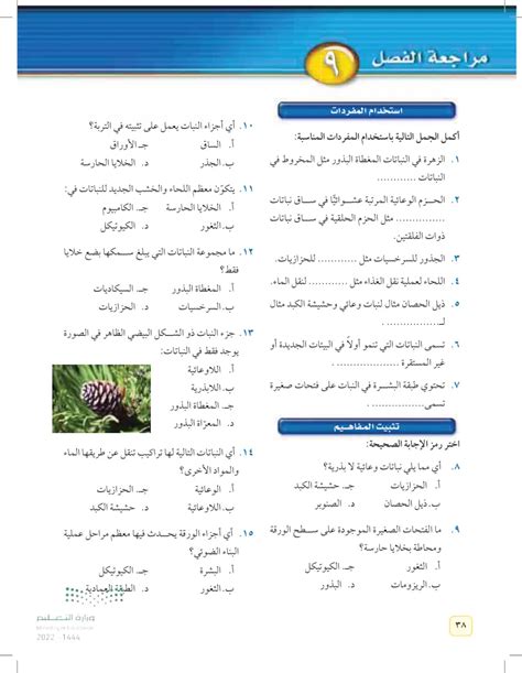 أجب عن سؤال أكمل الجمل التالية باستخدام المفردات المناسبة: طبقة تفصل بين طبقتين من اللحاء والخشب