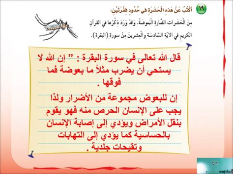 أجب عن سؤال اكتب عن هذه الحشرة في فقرتين في دفتر ملاحظاتي