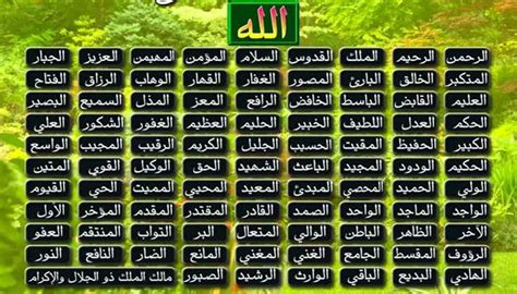 أذكر خمسة أسماء من أسماء الله لها أوصاف متعددة الإجابة كاملة