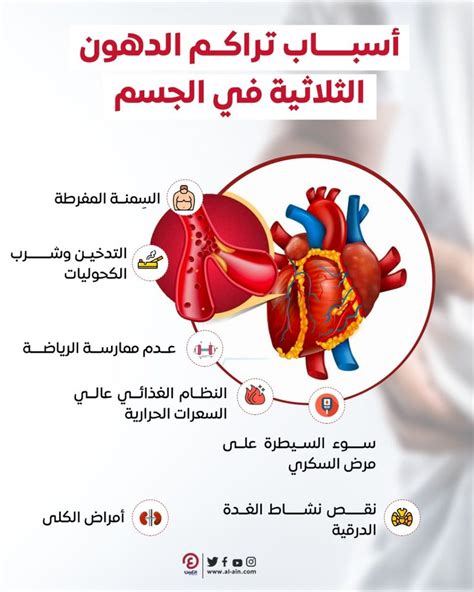 أسباب ارتفاع وانخفاض مستويات الدهون الثلاثية أسباب ارتفاع وانخفاض مستويات الدهون الثلاثية
