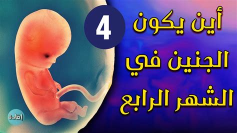أسباب تشوهات الجنين في الشهر الرابع من الحمل