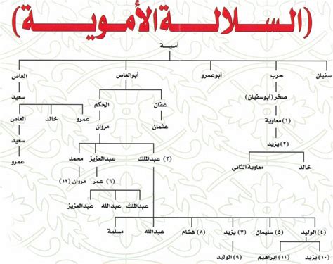 أسماء الخلفاء الأمويين |  أعداد الخلفاء الأمويين وأهم أعمالهم - ويكي ويكي