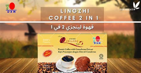 أشياء يجب وضعها في الاعتبار مع قهوة Lingzhi لفقدان الوزن في أسرع وقت ممكن