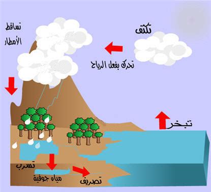 أعطي رأيي في شخص يملأ إبريقًا كبيرًا من الماء لاستخدامه في الوضوء أعطي رأيي في شخص يملأ إبريقًا كبيرًا من الماء لاستخدامه في الوضوء