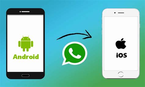 أفضل شرح طريقة لنقل WhatsApp من هاتف Android إلى iPhone