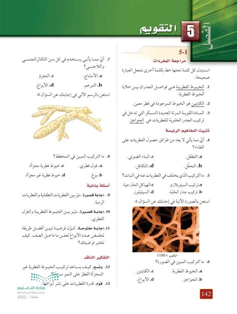 أفضل طريقة لتقليل عدد جراثيم العفن على التوالي كيف تختبر فرضيتك؟ أفضل طريقة لتقليل عدد جراثيم العفن على التوالي كيف تختبر فرضيتك؟