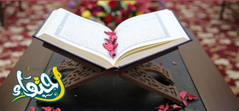 أفضل وقت للقراءة هو بعد صلاة العصر لأنها تنقي الذهن وتزيد من الفهم