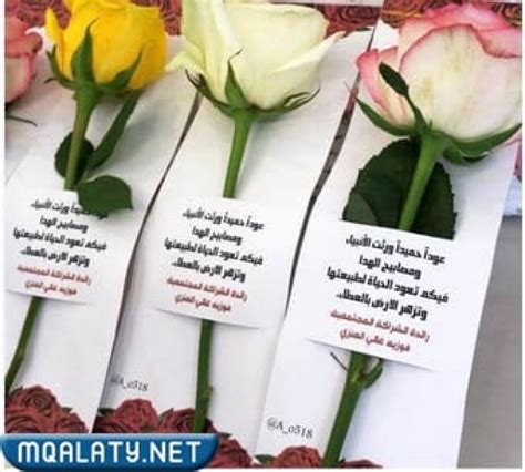 أفكار توزيع زهرة يوم المعلم مع حروف مع الصور