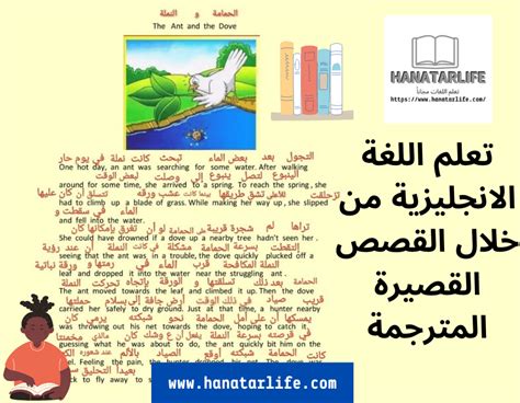 أقوى النكات الإنجليزية القصيرة المترجمة إلى اللغة العربية