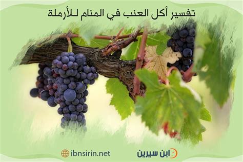 أكل العنب في حلم ابن سيرين وتفسير العازبة والمتزوجة والحوامل