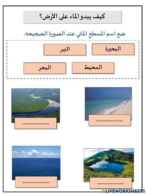 أكمل الرسم التوضيحي التالي لأقسام المسطحات المائية