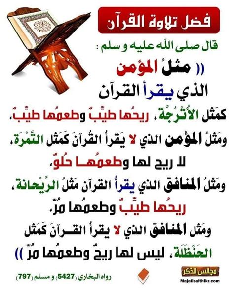أمامك مجموعة من الأحاديث في فضل القرآن الكريم أمامك مجموعة من الأحاديث في فضل القرآن الكريم