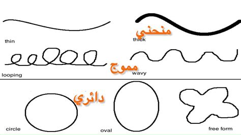 أنواع الخطوط في الفن وكيفية استخدامها