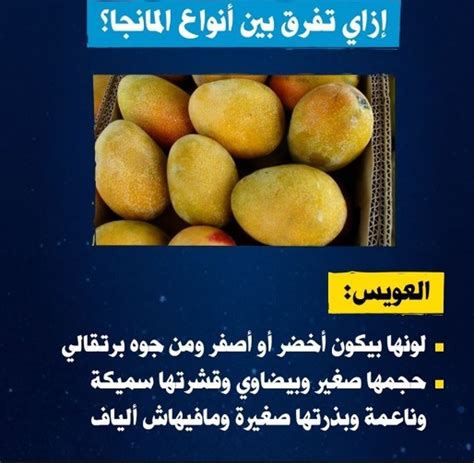 أنواع المانجا أنواع المانجا