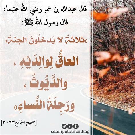أنواع الموحدين الذين يدخلون الجنة