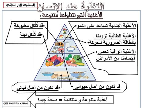 أنواع علوم التغذية