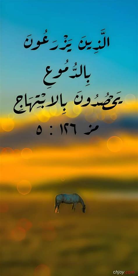 أولئك الذين يزرعون العدوان يحصدون الخسائر.