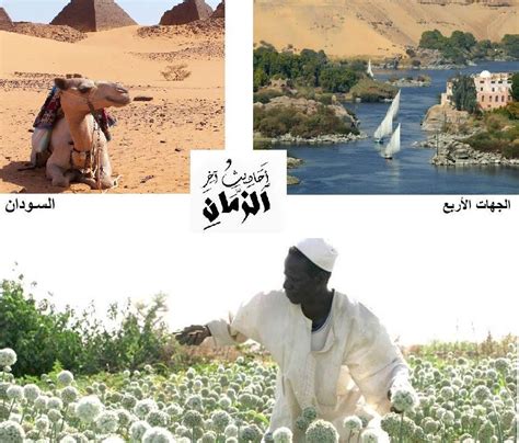 أي إخوة تسمي الأربعة الأوائل بشكل مختلف؟  حل الاحجية