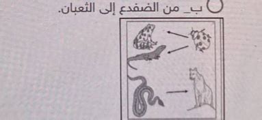 أي مما يلي هو الأقرب إلى بحيرة تعاني من نقص التغذية؟